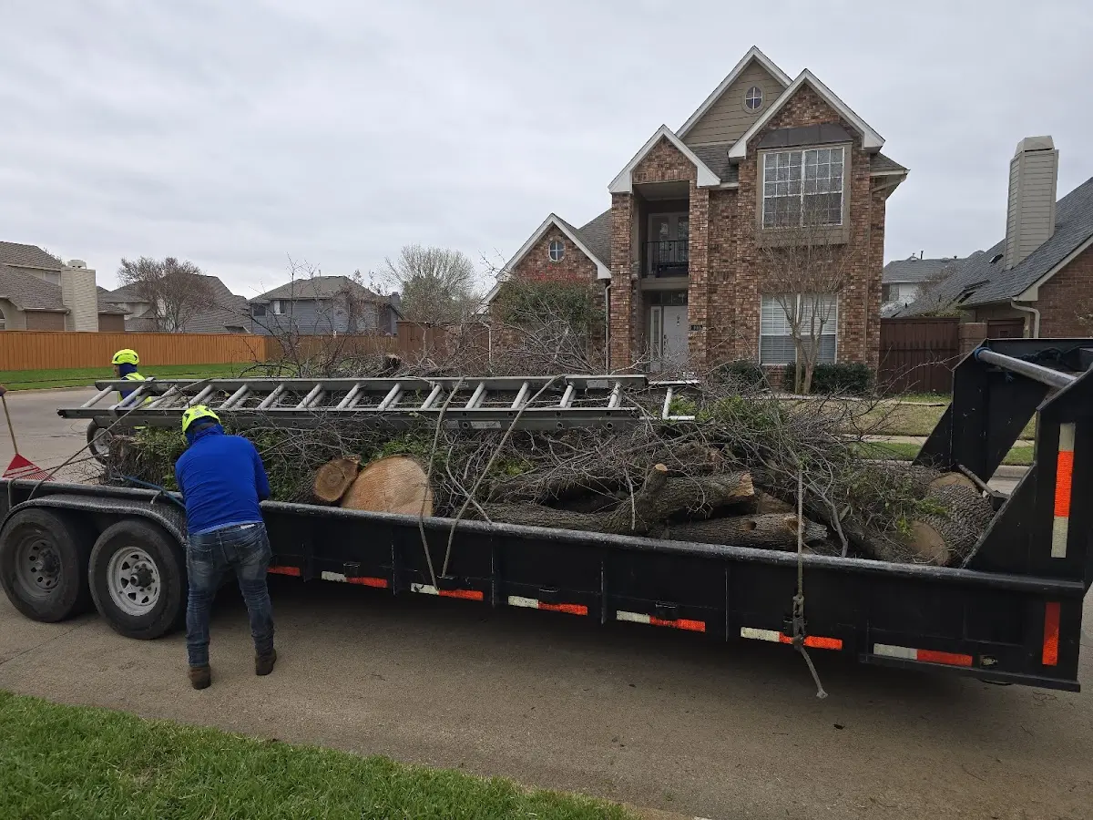 Expert Tree Fertilization with proper safety equipment in Adirondack